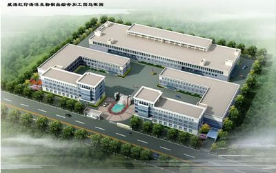 崮山鎮黨委構建“五比五創”黨建工作體系，引領全鎮各項事業跨越發展
